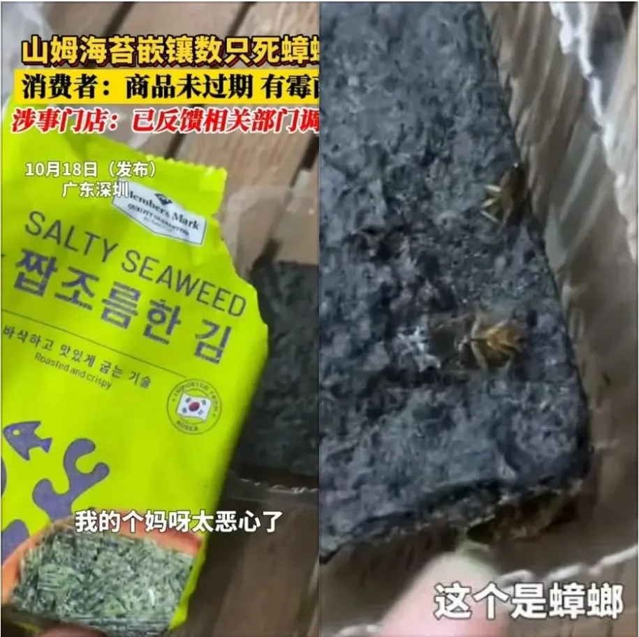 山姆所售海苔镶嵌数只死蟑螂，沃尔玛回应