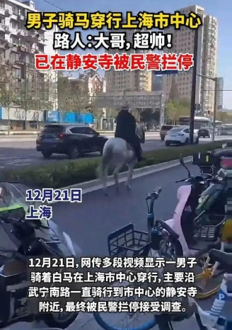 骑马上街不违法为何上海反应强烈？有人骑马上街警方通报：已处罚